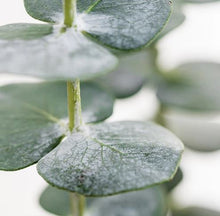 Load image into Gallery viewer, The Home Collection - Room & Linen Sprays