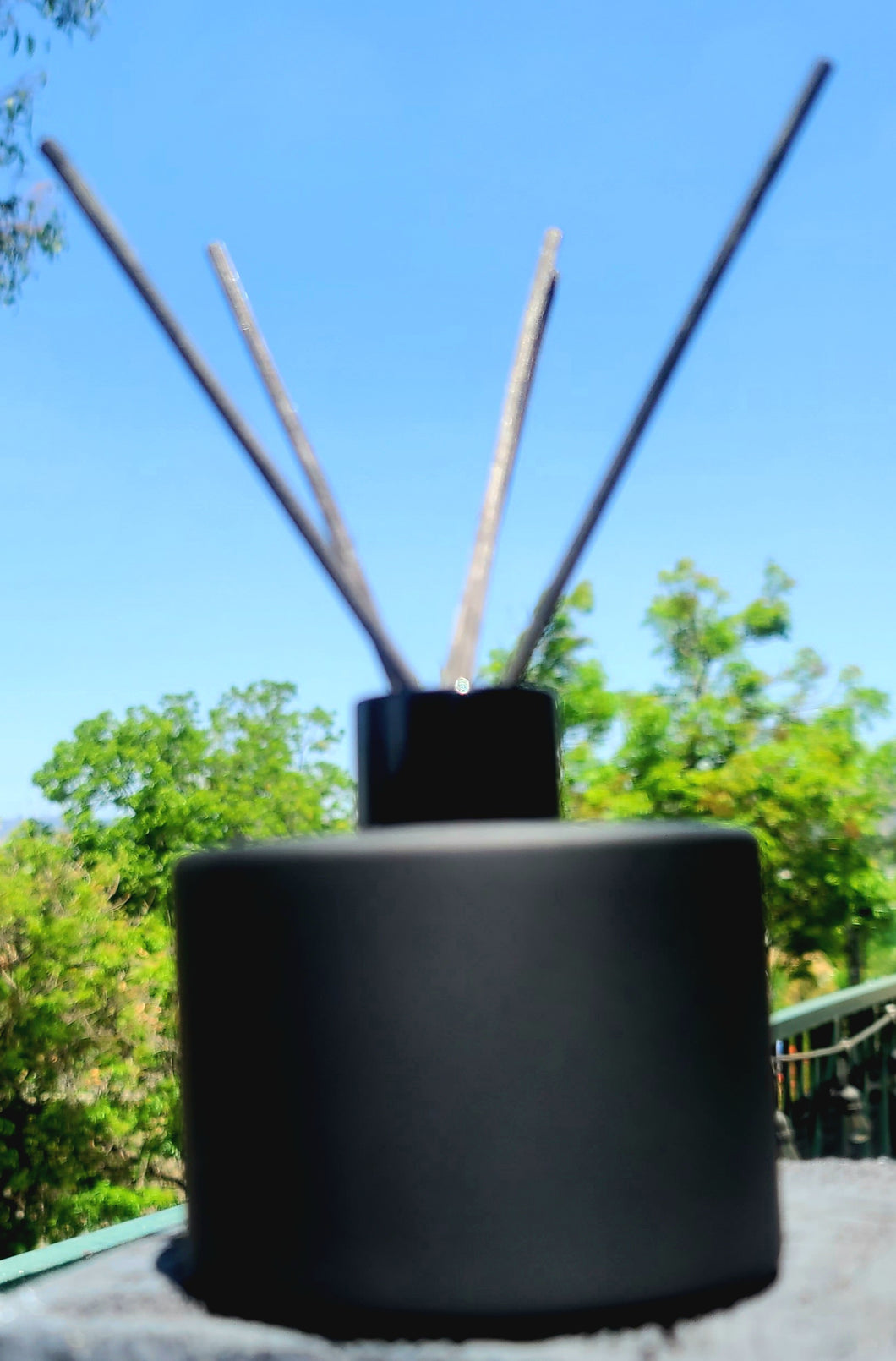 The Holiday Collection - Reed Diffuser