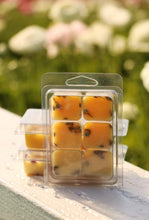 Load image into Gallery viewer, The Body Collection - Bath Melts
