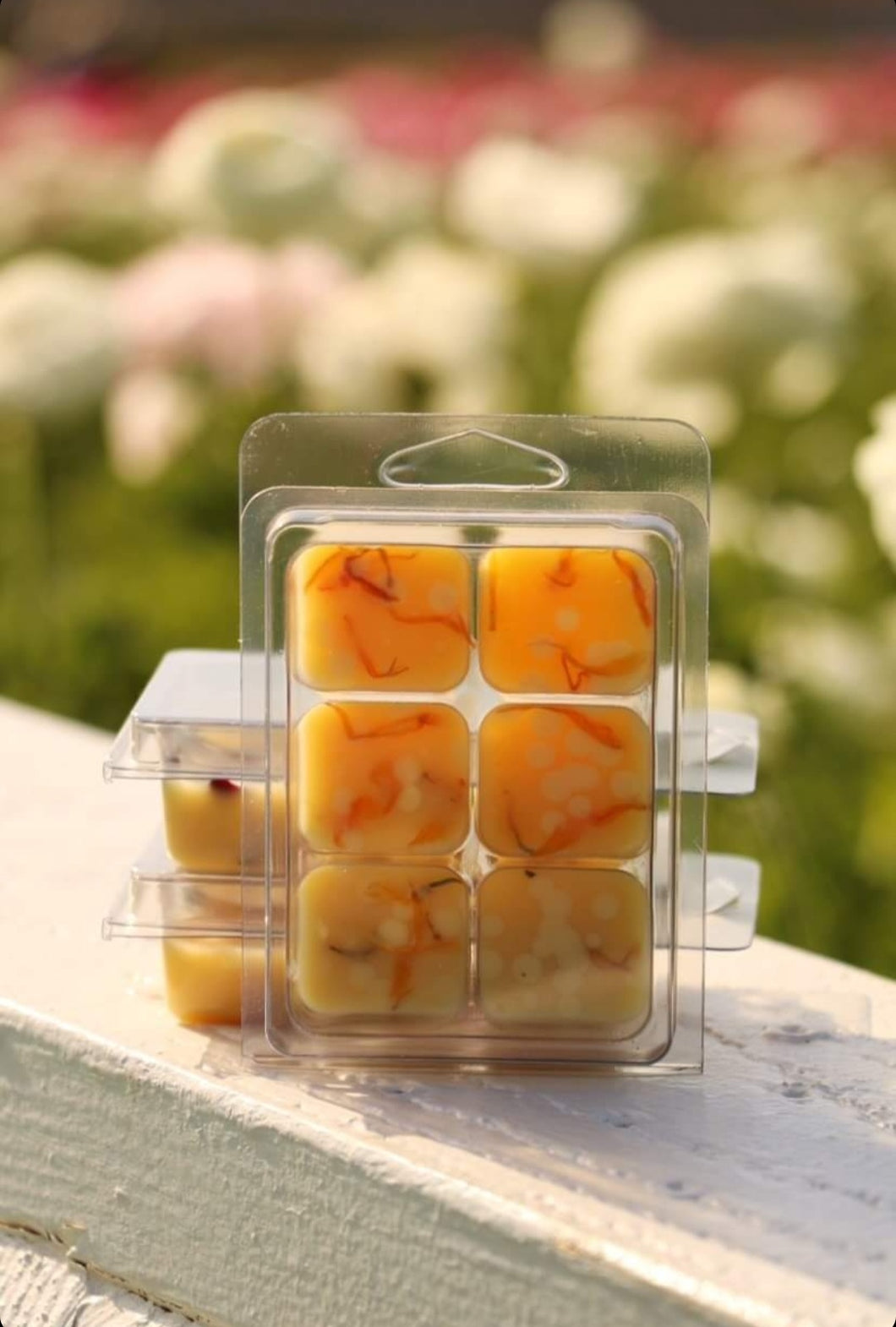 The Body Collection - Bath Melts